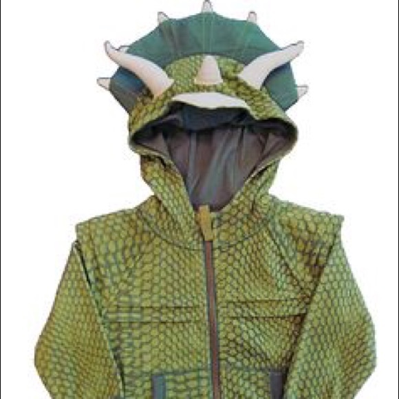 Mens Pullover Hoodie Fleece with Pockets The Dinosaur Claws